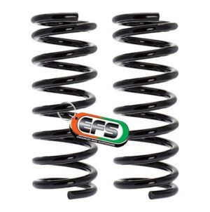 Sprężyna EFS FORD-120TE